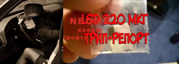 эйфоретик Медвежьегорск