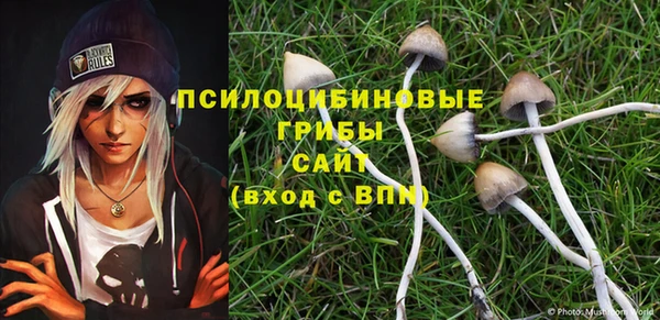 2c-b Мегион