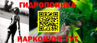 прущие крисы Аргун