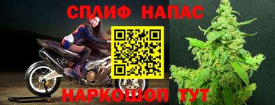 прущие крисы Аргун