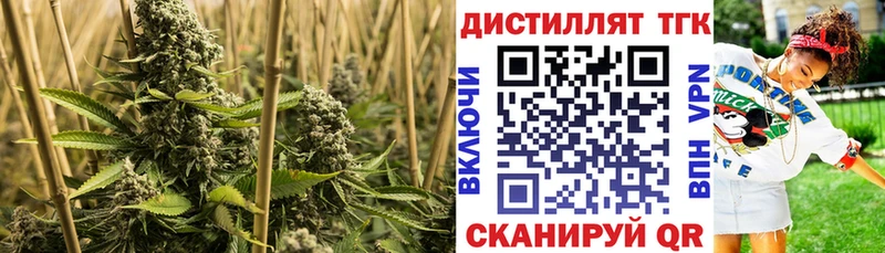 ТГК вейп с тгк Боровичи