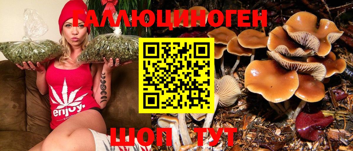 Псилоцибиновые грибы GOLDEN TEACHER  Галлюциногенные грибы прущие грибы  Боровичи  Вход с VPN 