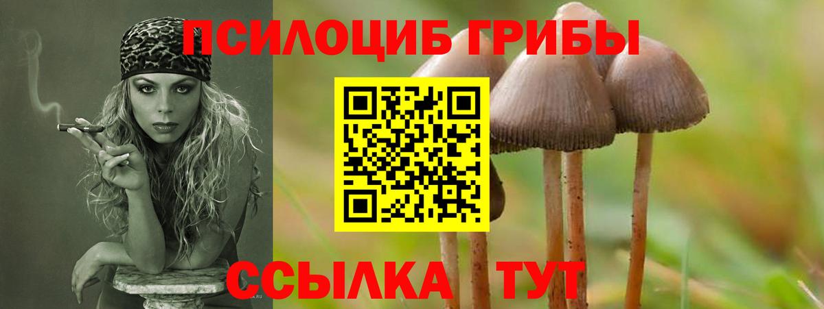 Псилоцибиновые грибы мухоморы  цены наркотик  Галлюциногенные грибы MAGIC MUSHROOMS  Боровичи 